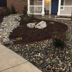 Drought Tolerant Landscape
